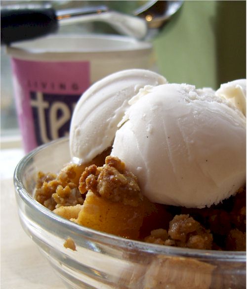 tempt vanilla hemp ice cream