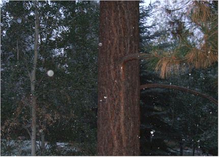 octobersnow