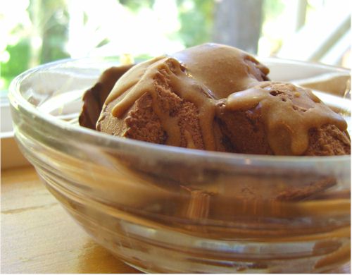 Chocolate Fudge Temp Dairy-Free Hemp Ice Cream with Peanut Butter Magical Shell