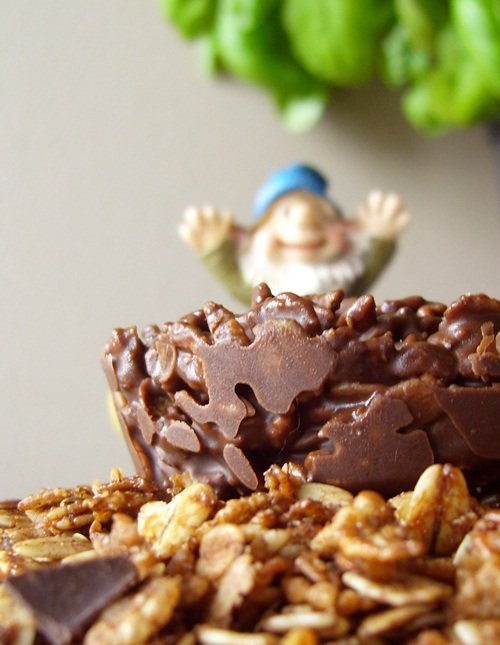 Easy Healthy Recipe: Dairy-Free Double Chocolate Granola Bars